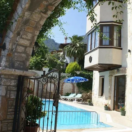 Gokova 2* アクヤカ