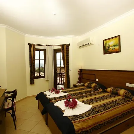 Gokova 2* アクヤカ